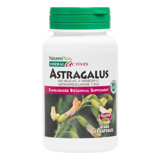 NATURES PLUS Herbal Actives Astragalus 450 mg για Τόνωση του Ανοσοποιητικού Συστήματος 60 Vegan Κάψουλες