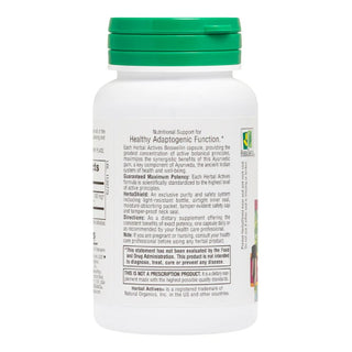 NATURES PLUS Herbal Actives Boswellin 300 mg για Προστασία των Αρθρώσεων 60 Vegeterian Κάψουλες